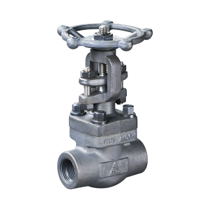 Alloy 20 Forged Steel Gate Valves