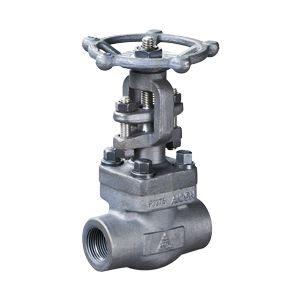 API 624 API 602 Forge Gate Valve