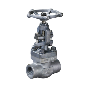 Fire Safe Forged Steel Globe Valves