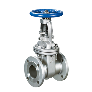 Hydrogen Peroxide Gate Valves