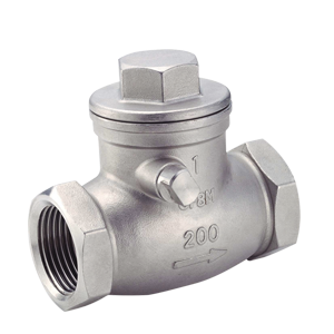 Swing Check Valve For Sea Water Service